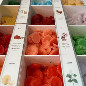 Cubos de cera perfumada de diferentes fragancias