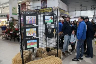 Presentación del concurso de dibujos de FEMMICC 01