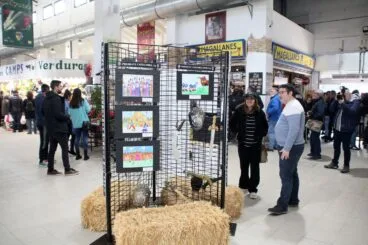 Presentación del concurso de dibujos de FEMMICC 14