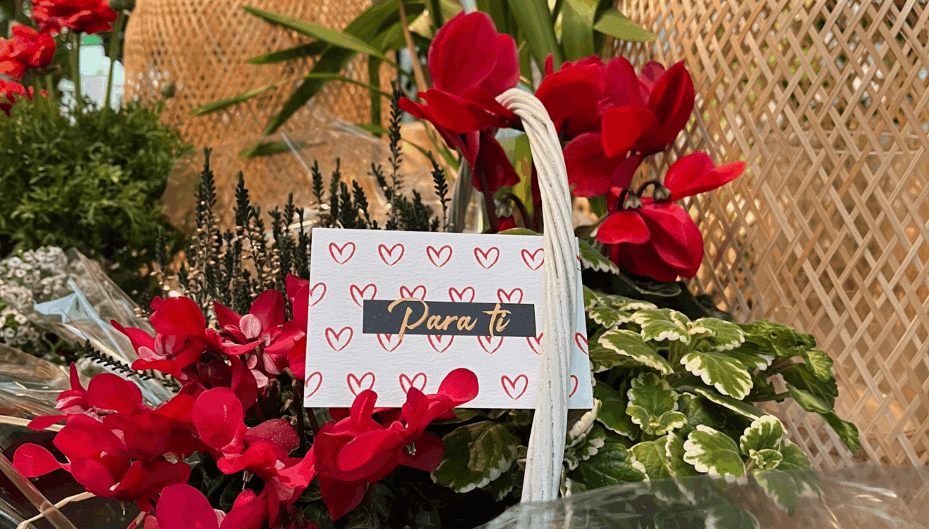 Regala flores en San Valentín con Monverd