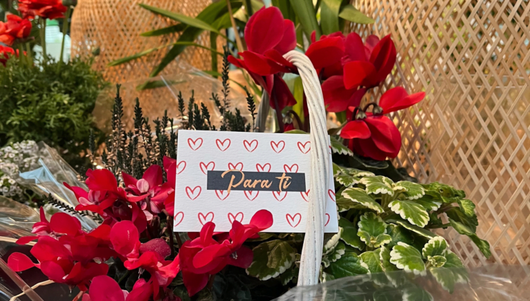 Offrez des fleurs pour la Saint Valentin avec Monverd