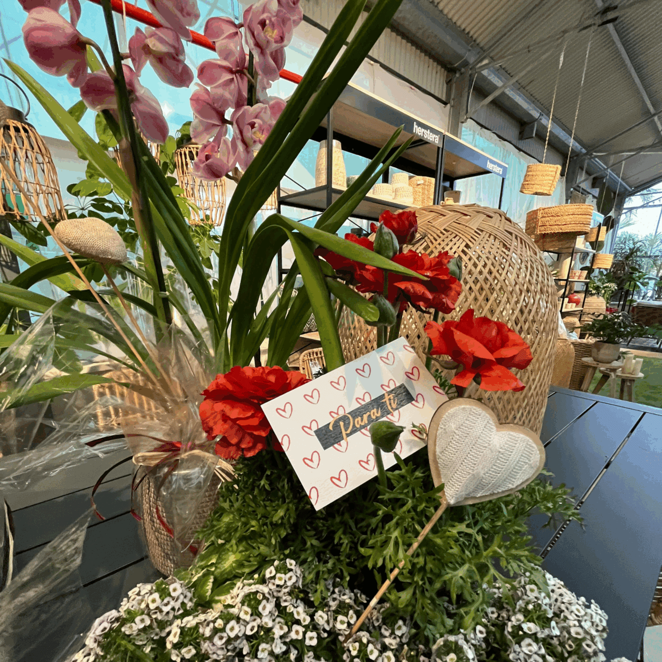 Regala una planta para este San Valentín con Monverd