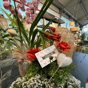 Regala una planta para este San Valentín con Monverd