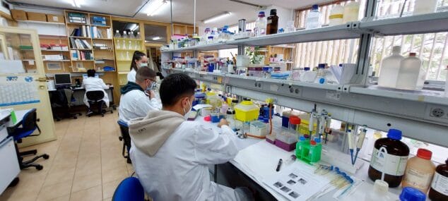 Gasterra Dénia impulsa 11 proyectos de investigación gastronómica 1 Imagen: Ayudas a la investigación Gasterra (archivo)