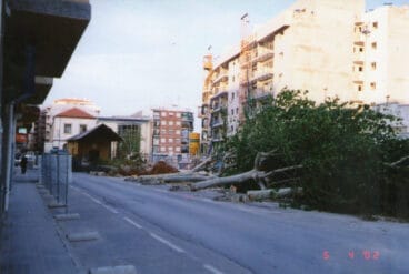 Calle La Via con los plataneros talados | Fotografía: Luis Vicente (Dénia Antiga)