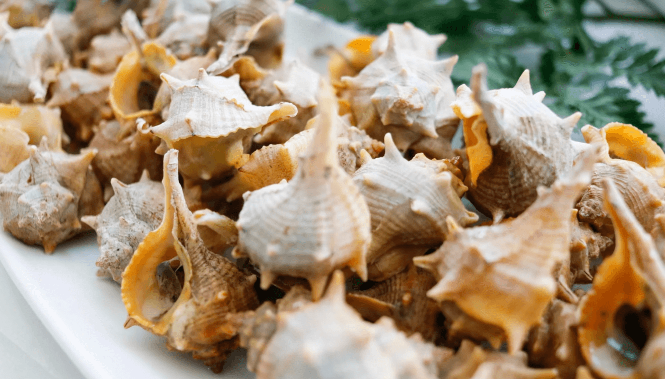 Caracolas de mar para degustar acompañadas