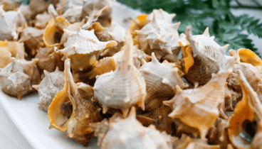 Caracolas de mar para degustar acompañadas