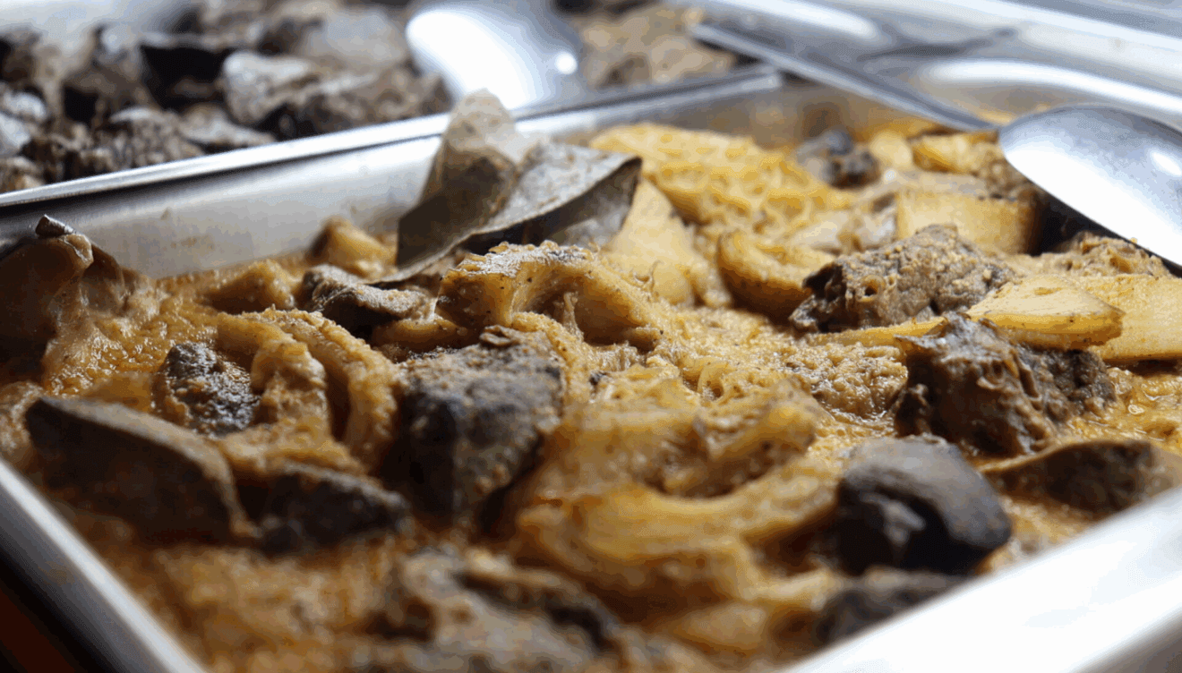 Encuentra las mejores tapas de comida casera - Olimpo