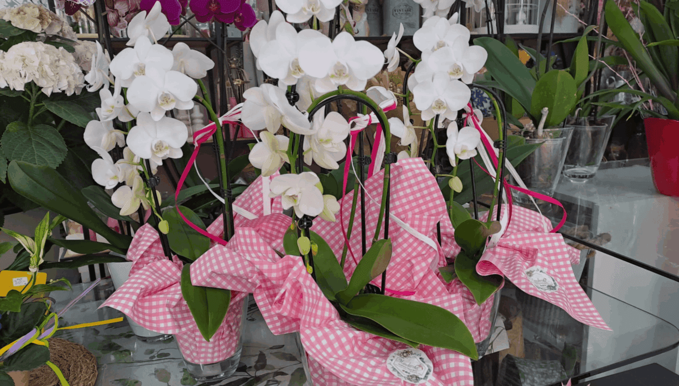 Flores que hablan de amor en un día especial