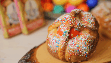 Llegan las monas a Canela