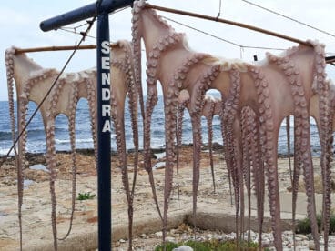 Pulpo secándose en el restaurante Sendra