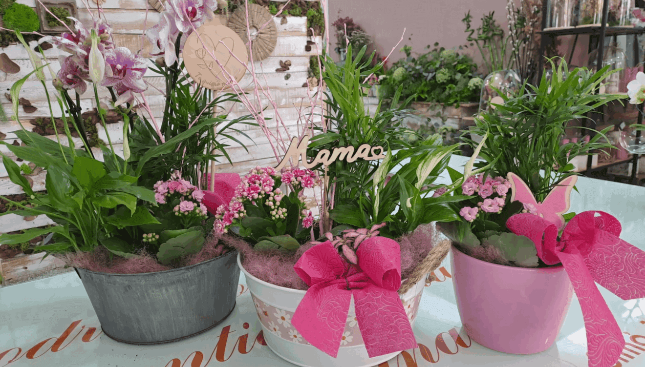 Sus centros de plantas siempre son un acierto