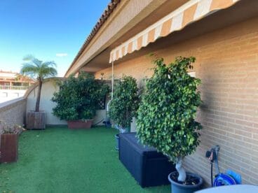 Terraza con jardín