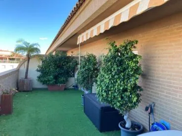 Terraza con jardín