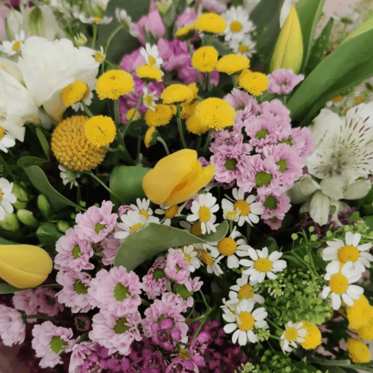 Transmite sentimientos y emociones de manera única