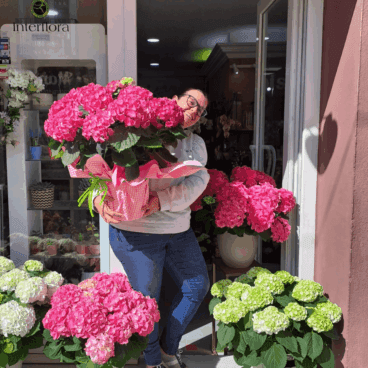 Visita Floristería Mandarina antes del próximo 7 de mayo