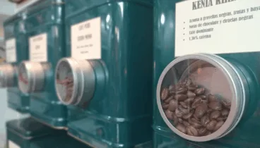 Cafés y tés de todo tipo en Infusion en Dénia