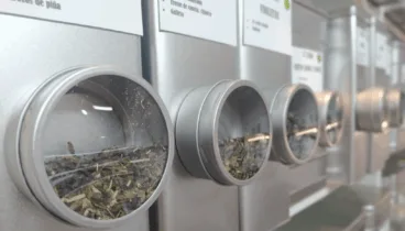 Diferentes tipo de infusiones en Infusion