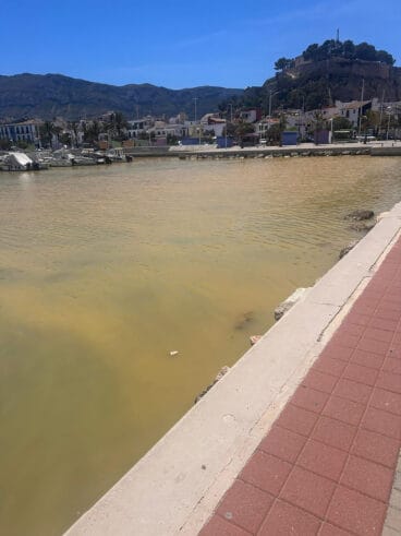 La mancha marrón cubre parte del puerto de Dénia