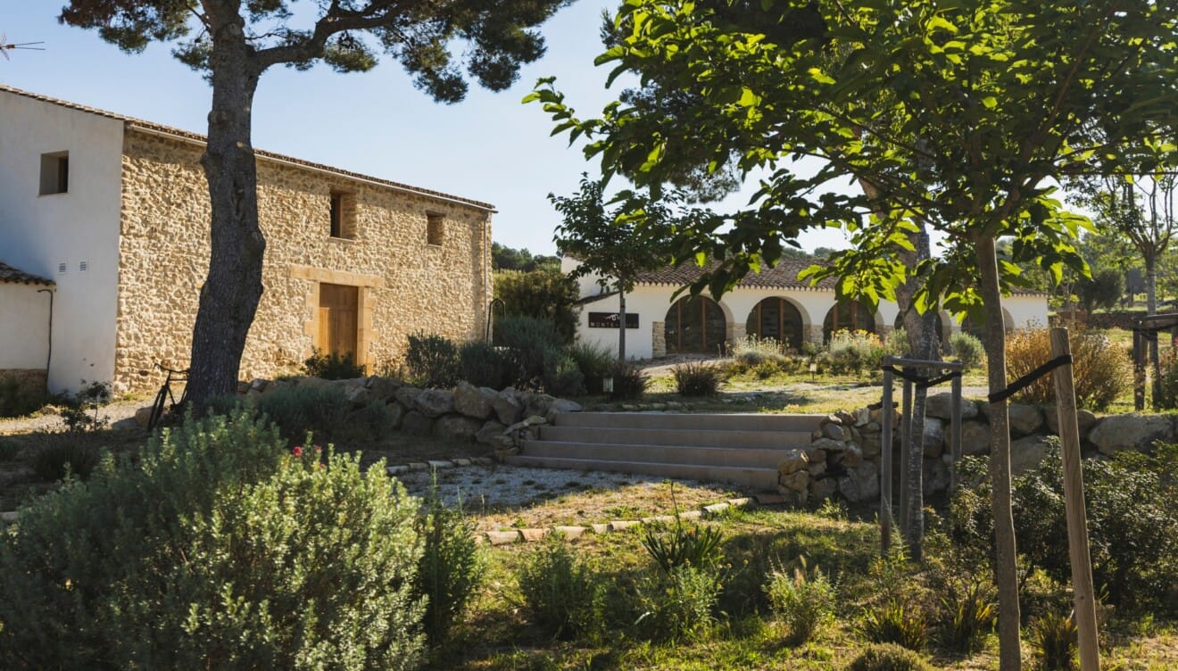 Aranleón Bodega