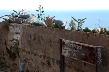Bajan el volumen al ahuyentador de gaviotas de Dénia 01