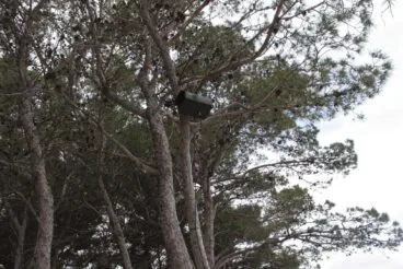 Bajan el volumen al ahuyentador de gaviotas de Dénia 10