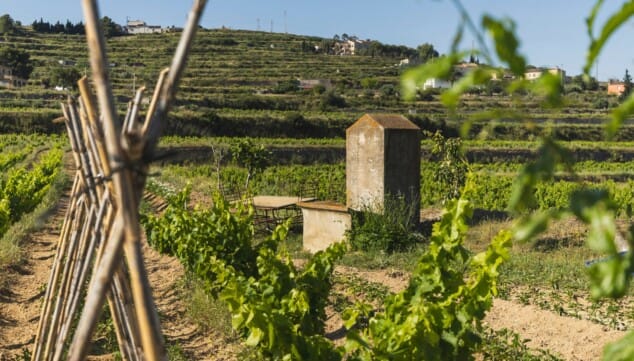 compromiso con la biodiversidad y el paisaje