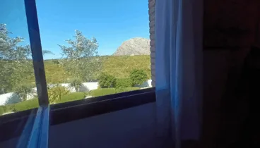 Disfruta de todo lo que envuelve a esta casa