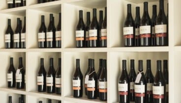 Este proyecto vitivinícola comenzó en el año 2000