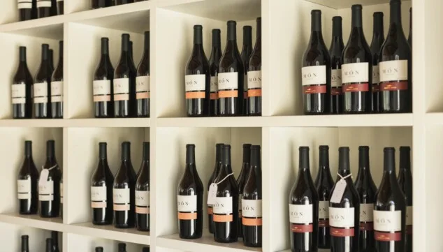 Montesanco 15 este proyecto vitivinicola comenzo en el ano 2000