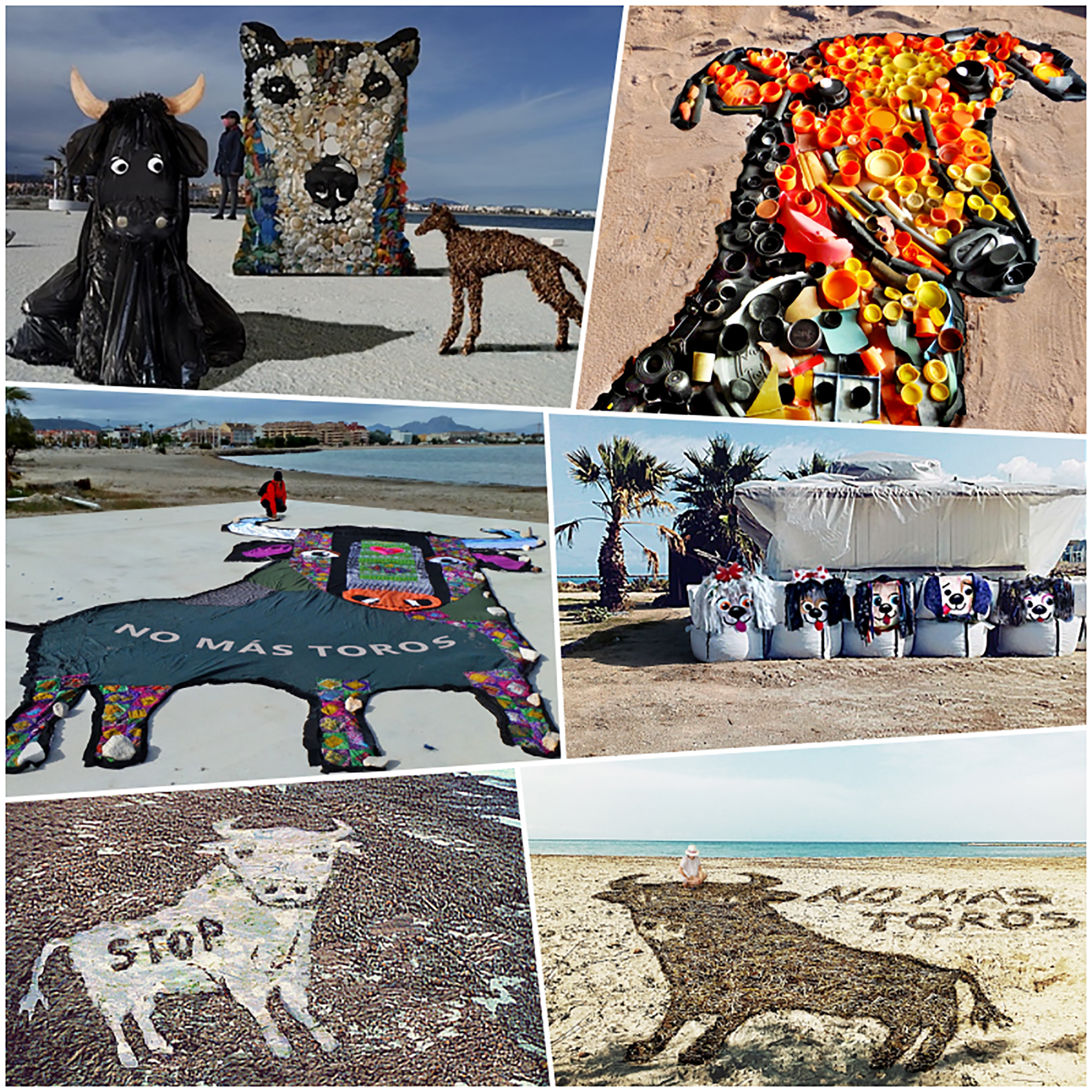 Expocición ecológica en la playa canina de Dénia