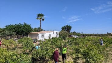 la xarxa agricola y aprosdeco promueven la creacion de un huerto urbano para personas con diversidad funcional