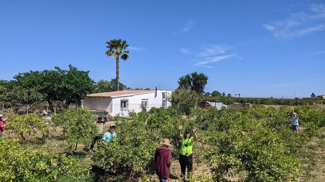 La Xara estrena su remodelado huerto urbano para personas con diversidad funcional 1 Imagen: La Xarxa Agrícola y Aprosdeco promueven la creación de un huerto urbano para personas con diversidad funcional