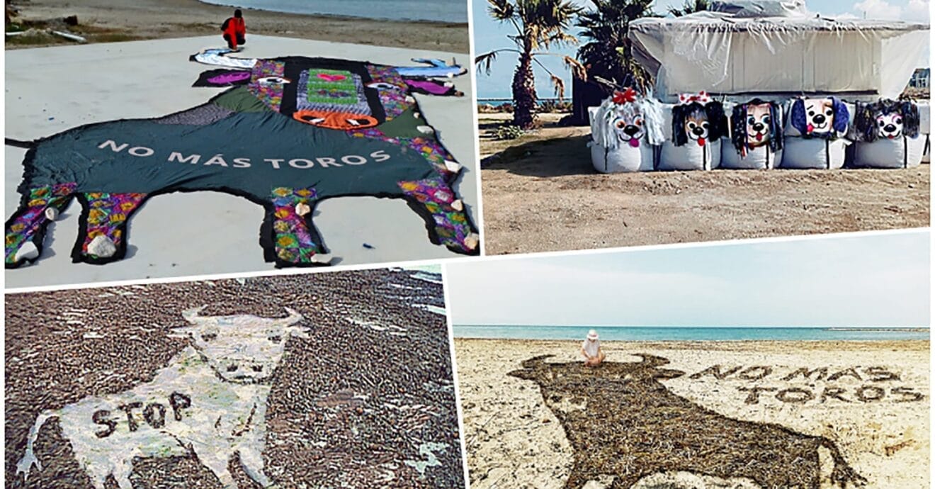 Portada de la exposición contra els Bous a la Mar