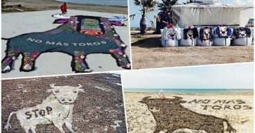 portada de la exposicion contra els bous a la mar