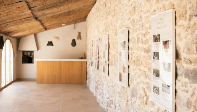 referentes en la industria vinicola