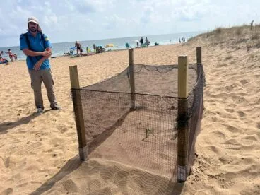 Zona acotada y vigilada de la playa de Dénia donde se encuentran los huevos