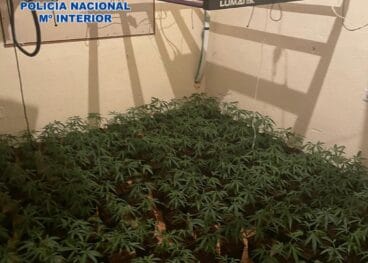 Cultivo de marihuana indoor de Dénia
