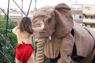 El libro de la selva en Dénia 04