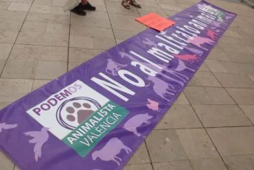 Manifestación contra los Bous a la Mar en Dénia 07