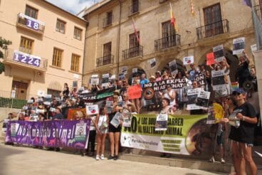 Manifestación contra los Bous a la Mar en Dénia 15