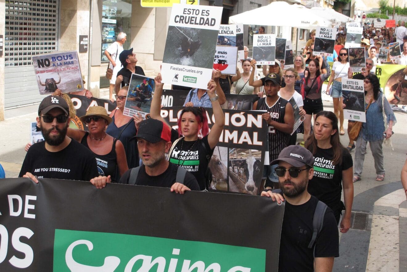 Manifestación contra los Bous a la Mar en Dénia