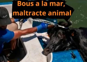 manifestacion del colectivo denia animal save