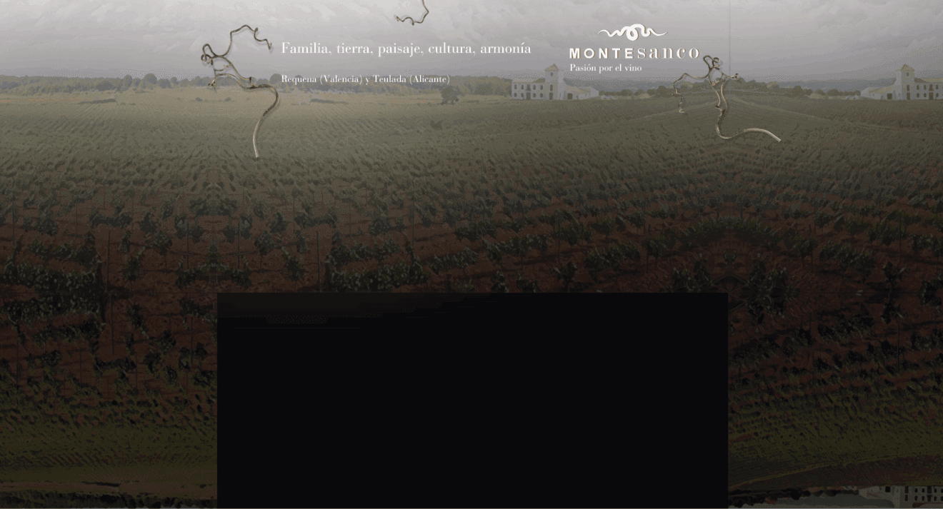 MONTESANCO-SKIN