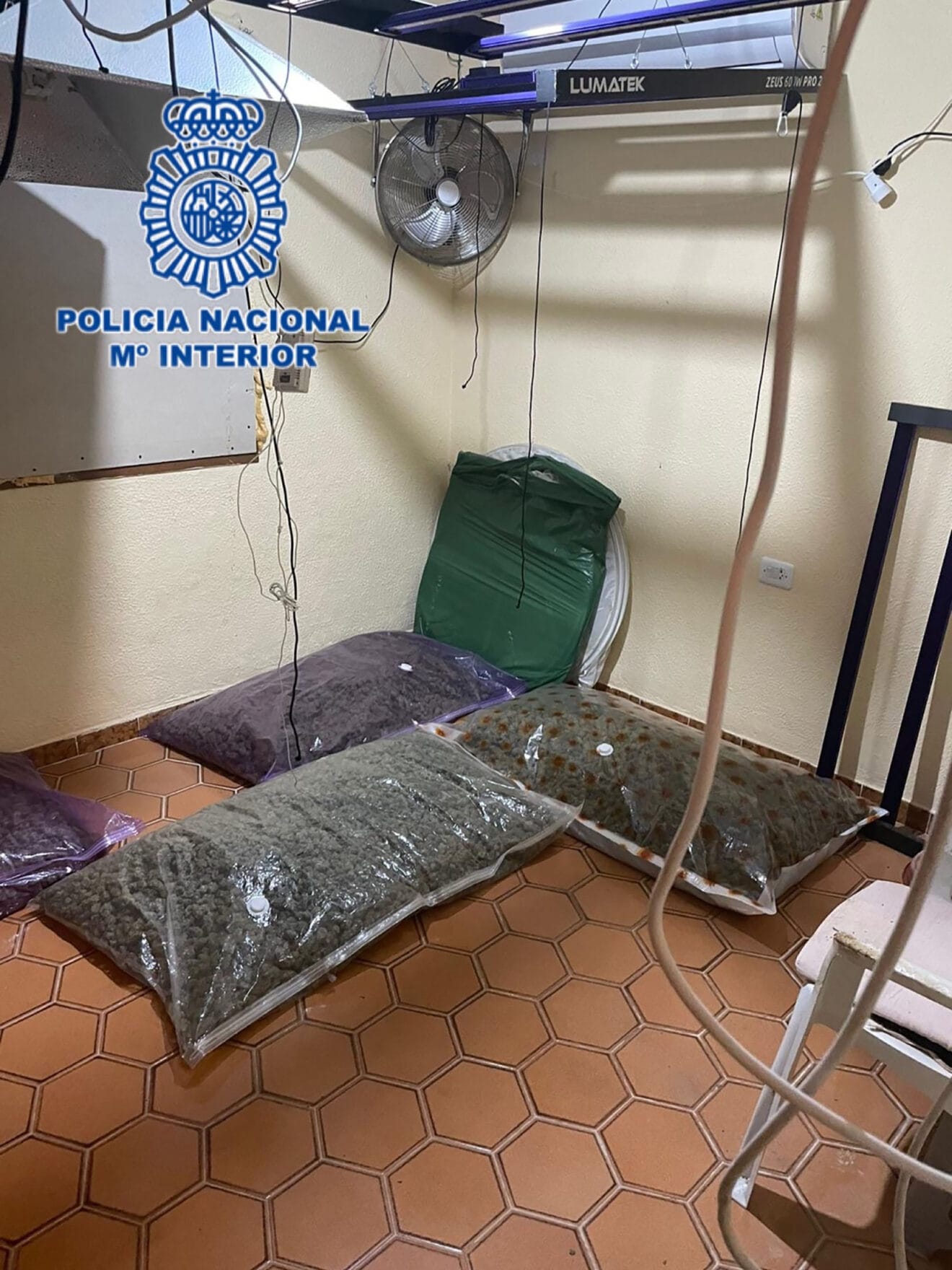 Paquetes de marihuana sustraidos en la operación policial dianense