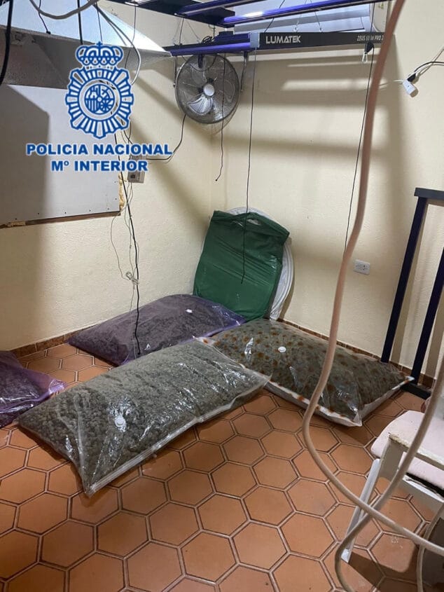 Imagen: Paquetes de marihuana sustraidos en la operación policial dianense
