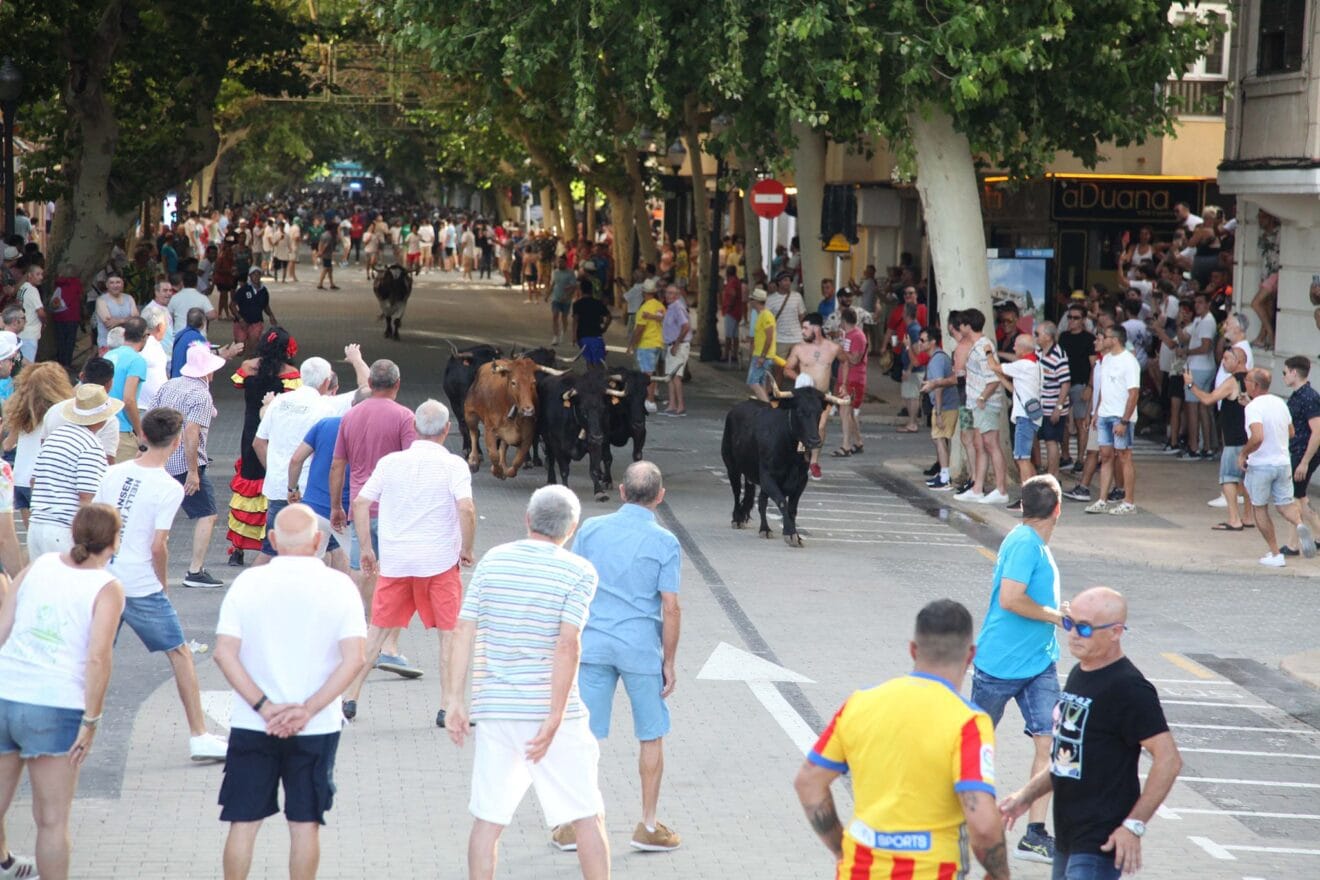 Primer día de Fiestas de Dénia 2023 06