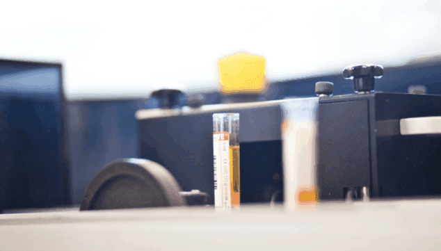 Imagen: Se ha detectado un aumento de los casos de cistitis