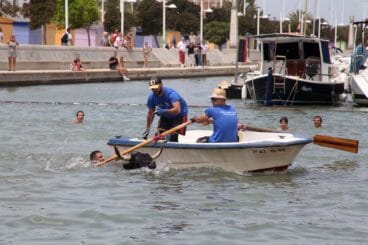 toro en el agua durante los bous a la mar de denia