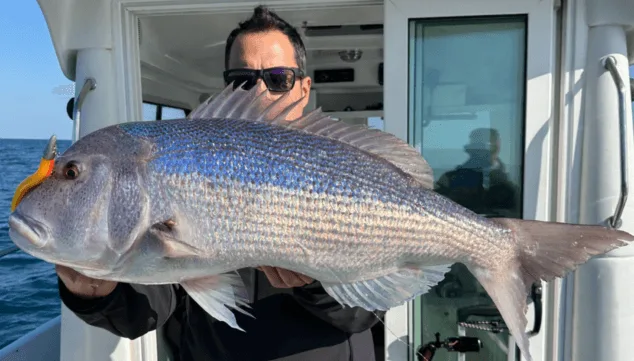 Un mar de posibilidades: explora, pesca y pasea con las rutas en barco de esta tienda 3 trofeos para conquistar en el mar